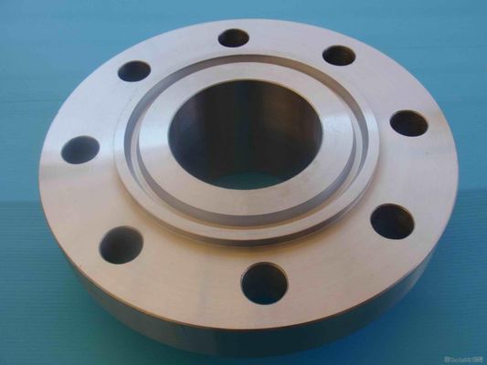 Yüksek hassasiyetli CNC İşleme Sızıntı Kanıtlı ANSI B16.5 Halka Tipi Ortak Flange Tedarikçi